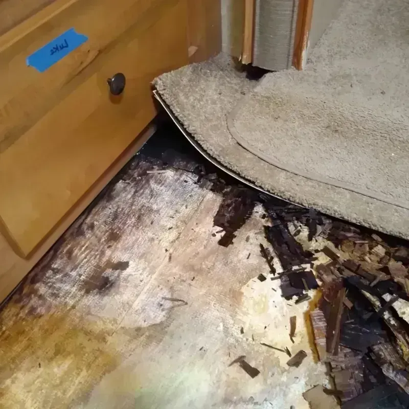 Wood Floor Water Damage in Mount Pulaski, IL